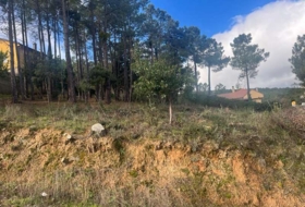 El Tiemblo 590&nbsp;m² 