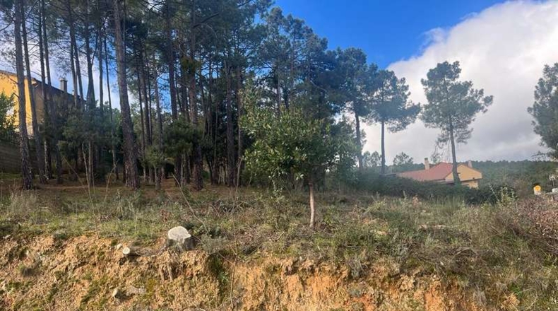 Ávila - El Tiemblo - 590m2