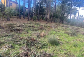 El Tiemblo 590&nbsp;m² 