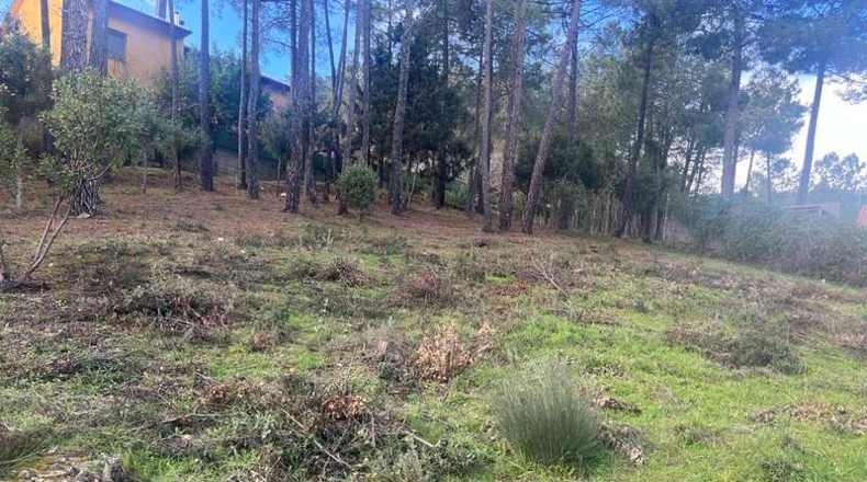 Ávila - El Tiemblo - 590m2