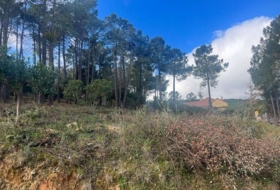 El Tiemblo 590&nbsp;m² 