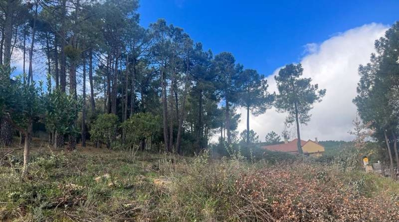 Ávila - El Tiemblo - 590m2