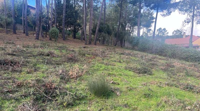 Ávila - El Tiemblo - 590m2