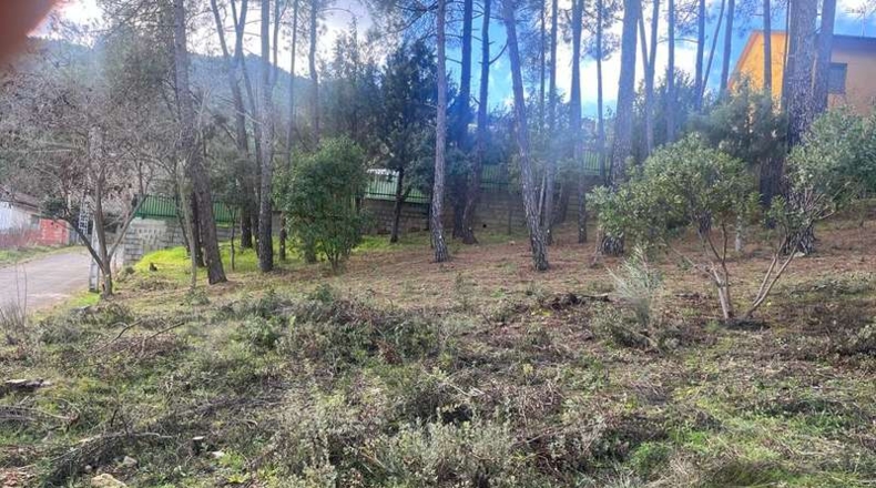 Ávila - El Tiemblo - 590m2