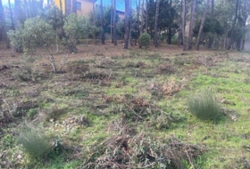 El Tiemblo 590&nbsp;m² 
