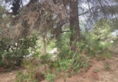 Non-developable land for sale on España, Sant Pere de Ribes, ref: TR121661 photo