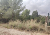 Non-developable land for sale on España, Sant Pere de Ribes, ref: TR121661 photo