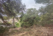 Non-developable land for sale on España, Sant Pere de Ribes, ref: TR121661 photo