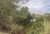 Non-developable land for sale on España, Sant Pere de Ribes, ref: TR121661 photo