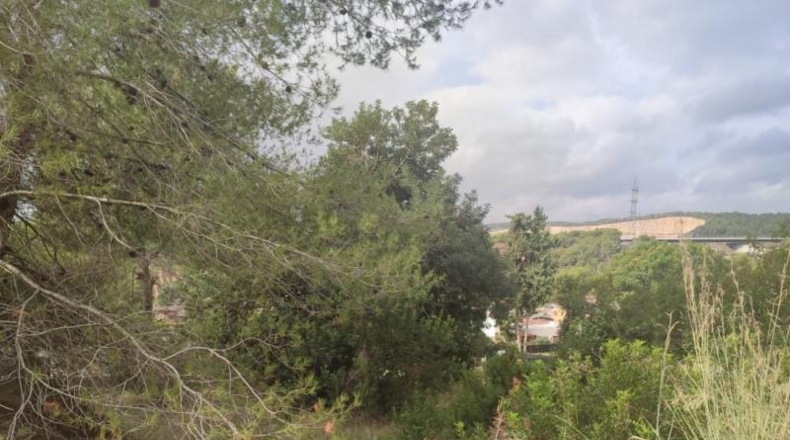 Barcelona - Sant Pere de Ribes - 547m2