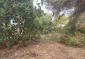 Non-developable land for sale on España, Sant Pere de Ribes, ref: TR121661 photo