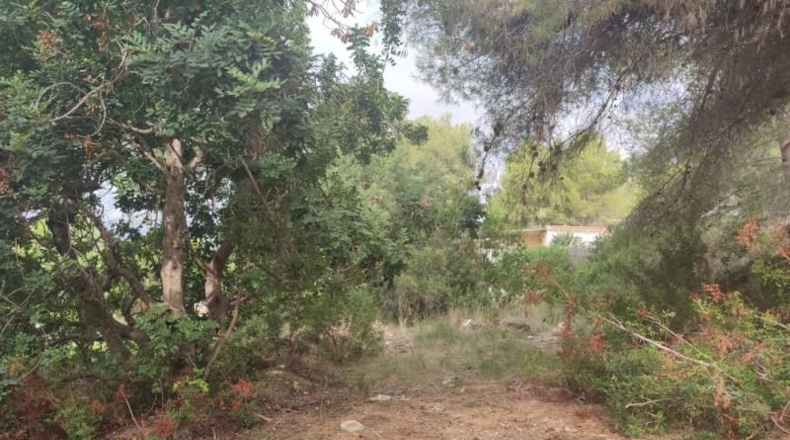 Barcelona - Sant Pere de Ribes - 547m2