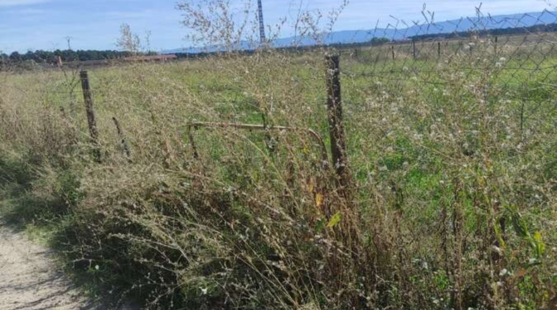 Segovia - Aguilafuente - 8920m2