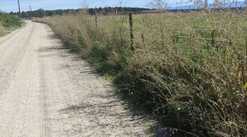 Segovia - Aguilafuente - 8920m2