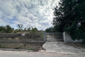 Foto 10