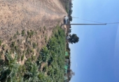 Terreny no urbanitzable en venda a la España, Totana, ref.: TR271581 foto