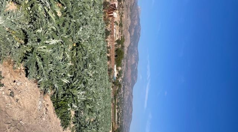 Murcia - Totana - 4673m2