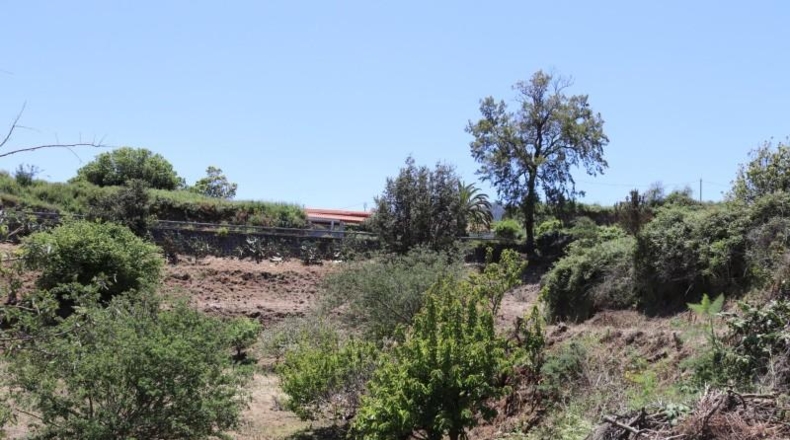 Santa Cruz de Tenerife - Los Silos - 1905m2