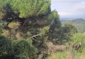 Земля, подлежащая урбанизации на продажу у города Vallgorguina Фото