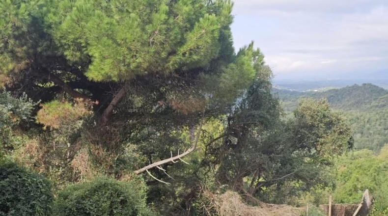Barcelona - Vallgorguina - 831m2