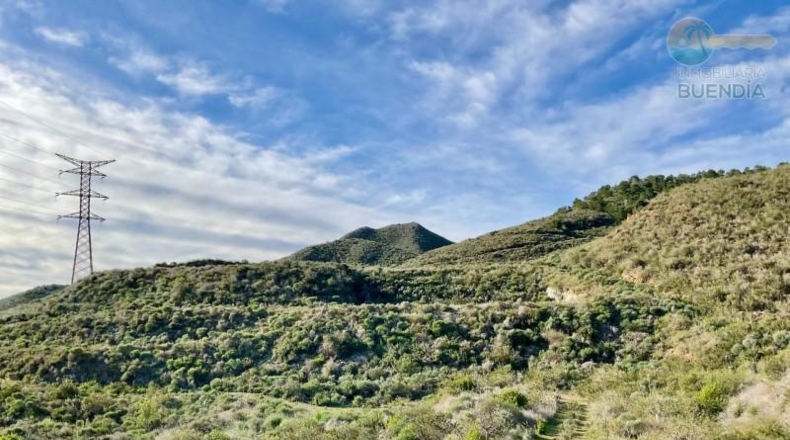 Murcia - Cartagena - 38000m2