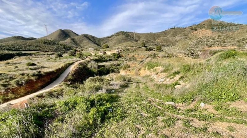Murcia - Cartagena - 38000m2