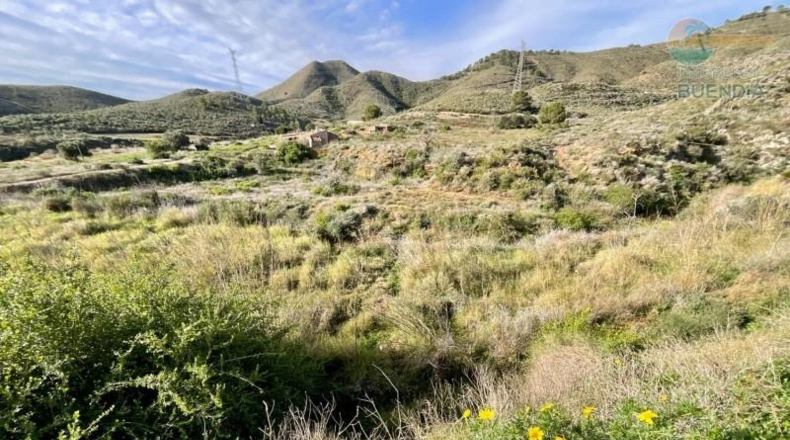 Murcia - Cartagena - 38000m2