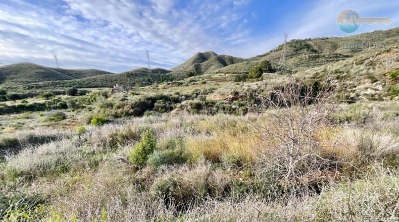 Murcia - Cartagena - 38000m2