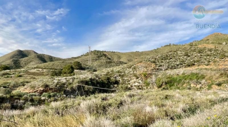 Murcia - Cartagena - 38000m2