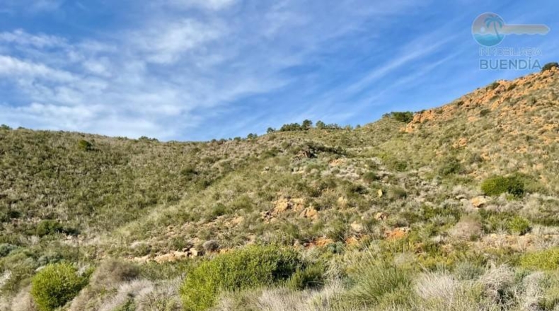 Murcia - Cartagena - 38000m2