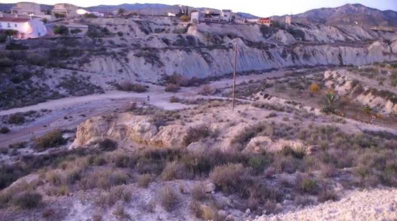 Murcia - Favanella - 28000m2
