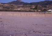 Xalet independent amb terreny en venda a la España, Favanella, ref.: TR304874 foto