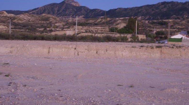 Murcia - Favanella - 28000m2