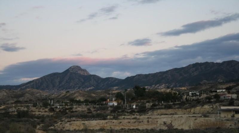 Murcia - Favanella - 28000m2
