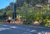 Sòl urbà en venda a la España, Pedrola, ref.: TR371905 foto