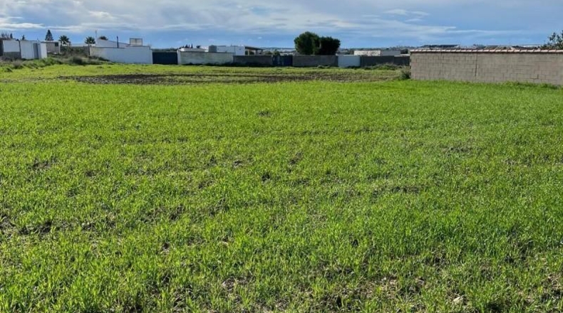 Cádiz - Chiclana de la Frontera - 1000m2