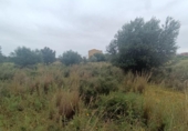Terreny no urbanitzable en venda a la España, Castelló de la Plana, ref.: TR300517 foto