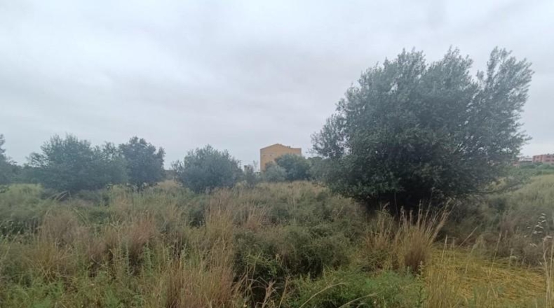 Castellón - Castellón de la Plana - 4711m2