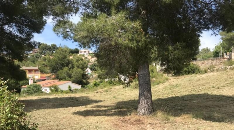Tarragona - Vespella de Gaià - 808m2