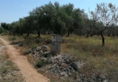 Terreny no urbanitzable en venda a la España, Castelló de la Plana, ref.: TR305020 foto
