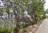 Parcel·la urbanitzable en venda a la España, Sant Pere de Ribes, ref.: TR125921 foto