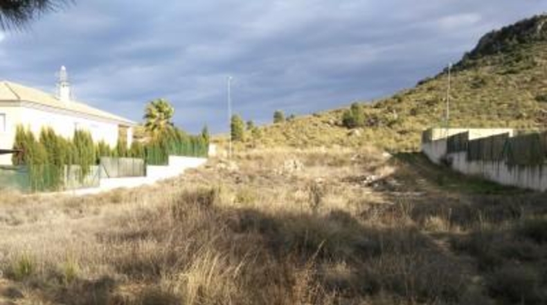 Múrcia - Calasparra - 1250m2