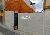 Parcel·la urbanitzable en venda a la España, Lucena, ref.: TR113296 foto