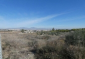 Non-developable land for sale on España, Ceutí, ref: TR114524 photo