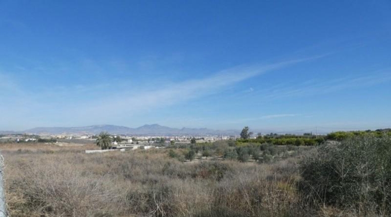 Múrcia - Ceutí - 8200m2