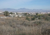 Non-developable land for sale on España, Ceutí, ref: TR114524 photo