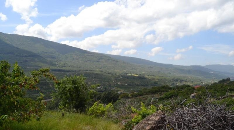 Cáceres - Navaconcejo - 2626m2