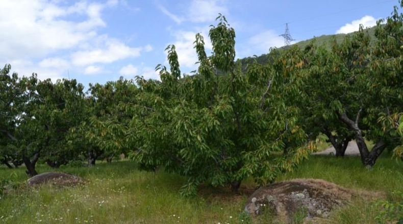 Cáceres - Navaconcejo - 2626m2