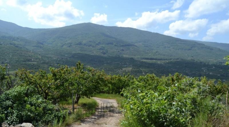 Cáceres - Navaconcejo - 2626m2
