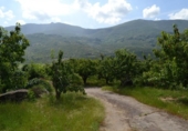 Non-developable land for sale on España, Navaconcejo, ref: TR114560 photo